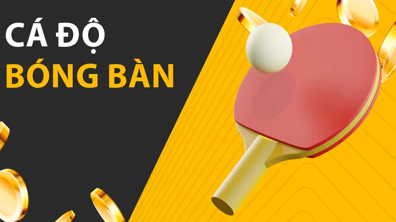 Cá độ bóng bàn và những thông tin cần biết trước khi chơi 1 Cá cược bóng bàn đầy thú vị, hấp dẫn
